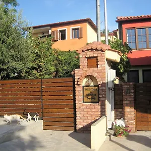 Arabas Saloniki